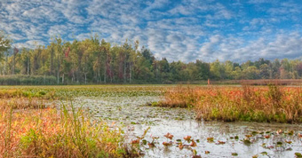 Cuyahoga Valley National Park